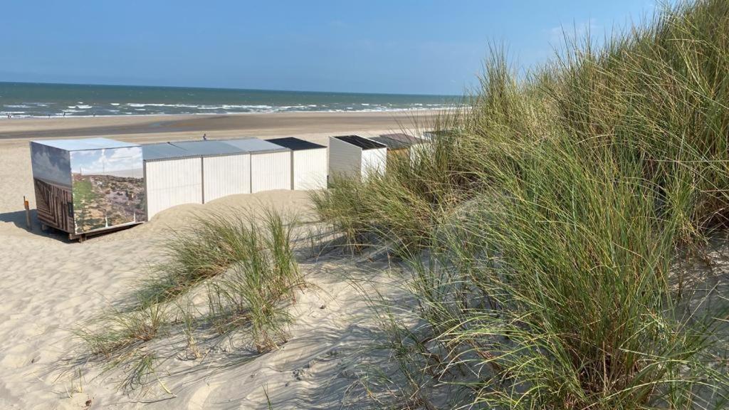 Strandhotel Dennenbos Oostkapelle Esterno foto